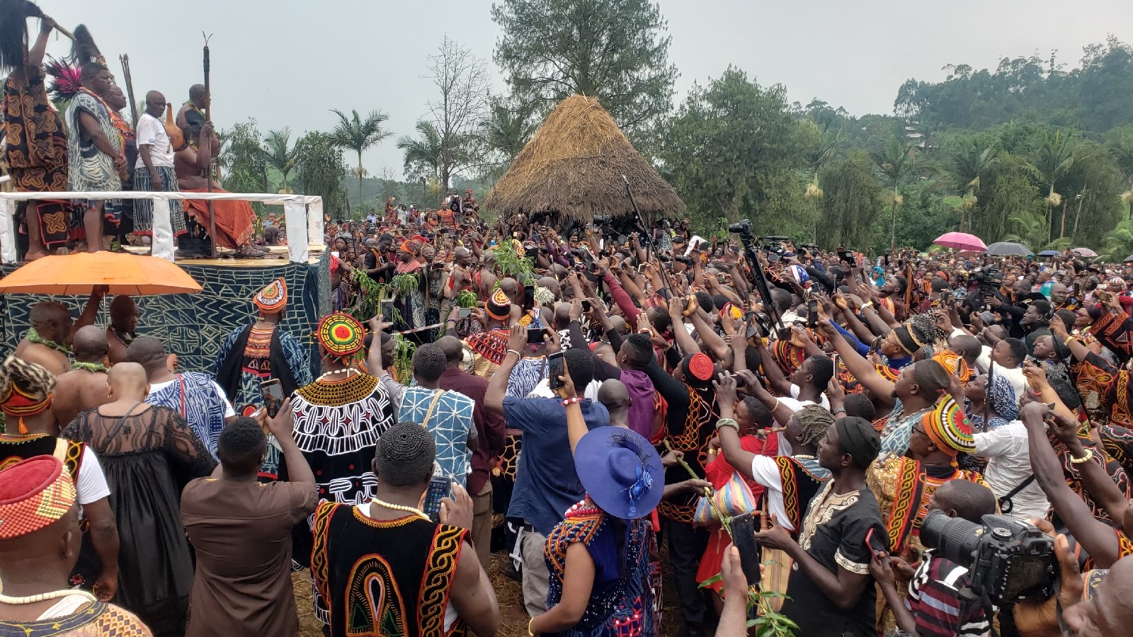 Scenic view of Mankon village landscape showing rolling grassfields and forested hills